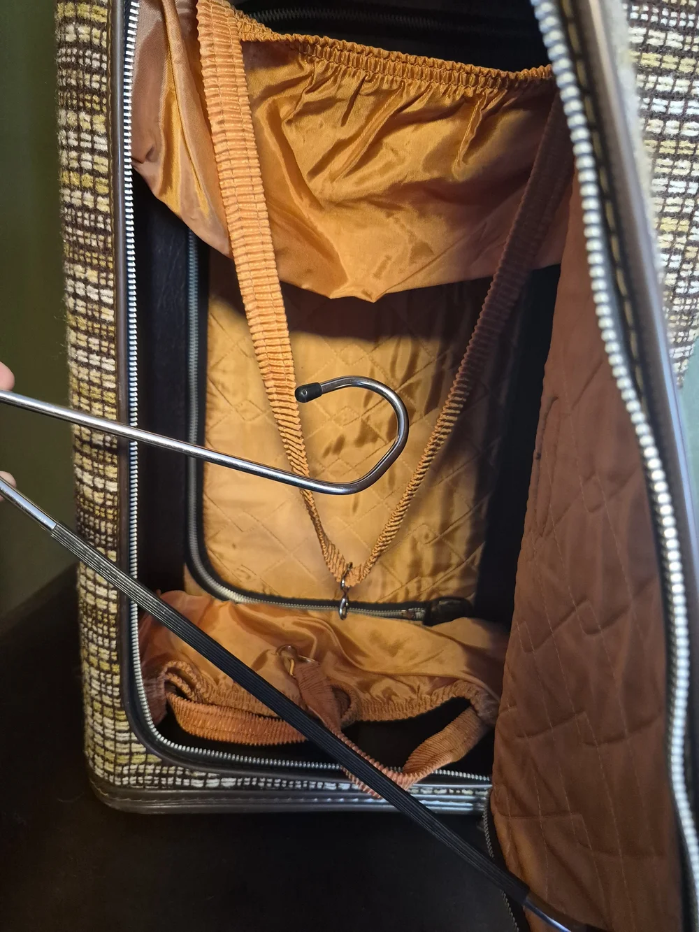 Vintage Skyway 21